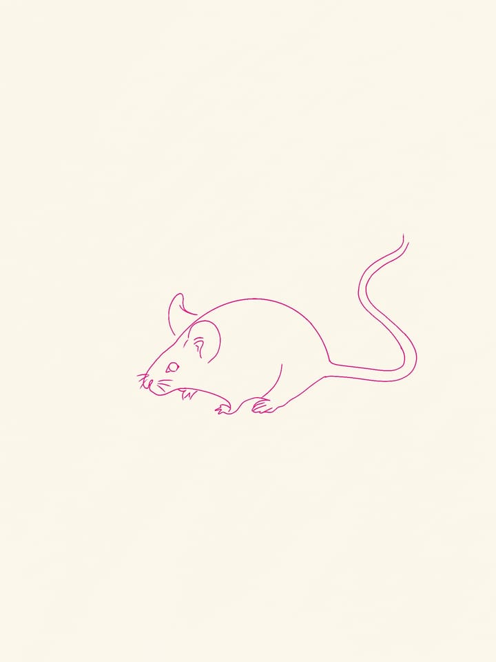 “Ignorance Is Bliss”: The Pain of Knowledge in ‘Flowers for Algernon’ and Other Literature